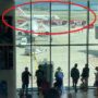 Copertina di Un uomo è morto risucchiato dal motore di un aereo in pista all’aeroporto di Bergamo: voli sospesi per due ore