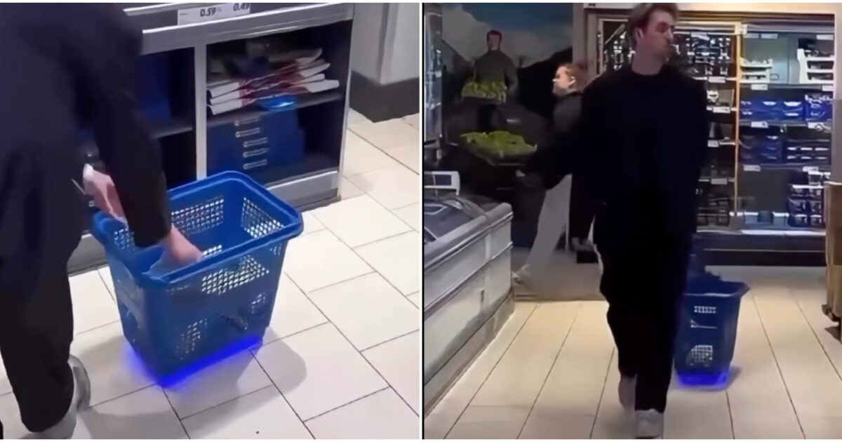 Il carrello della spesa che ti segue come un cagnolino al supermercato: LIDL sperimenta il sistema dell’AI Il carrello della spesa che ti segue come un cagnolino al supermercato: LIDL sperimenta il sistema dell’AI