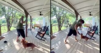 Copertina di Scoiattolo “impazzito” gli si arrampica addosso e inizia ad attaccarlo: il video dell’incredibile “lotta”