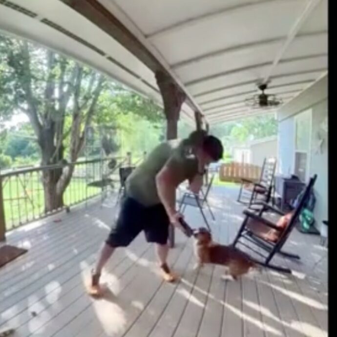 Scoiattolo “impazzito” gli si arrampica addosso e inizia ad attaccarlo: il video dell’incredibile “lotta”