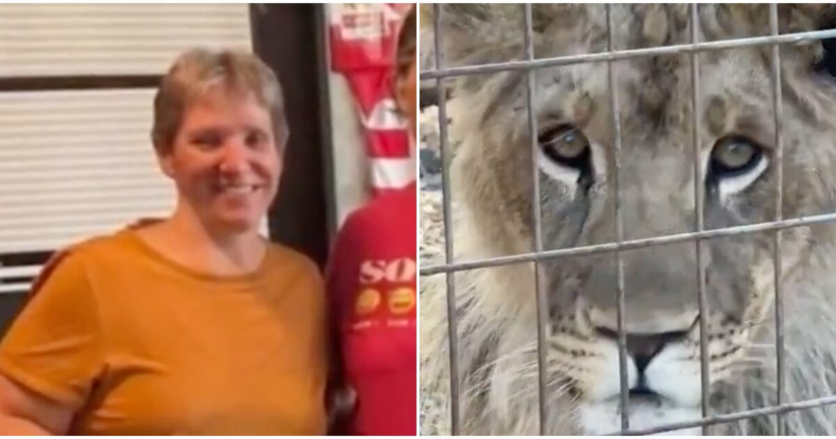 “Non è colpa del leone, stava solo giocando”: donna perde un braccio durante una visita allo zoo, la spiegazione del proprietario della struttura “Non è colpa del leone, stava solo giocando”: donna perde un braccio durante una visita allo zoo, la spiegazione del proprietario della struttura