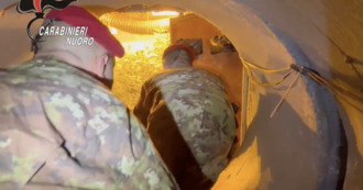 Copertina di Scoperta una piantagione di marijuana in un bunker sotterraneo nel Nuorese: arrestati padre e figlio