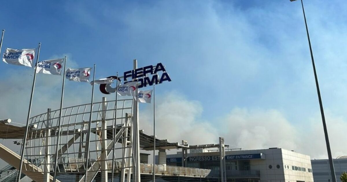 Incendio tra Roma e Fiumicino: fumo visibile da diversi quartieri della Capitale Incendio tra Roma e Fiumicino: fumo visibile da diversi quartieri della Capitale