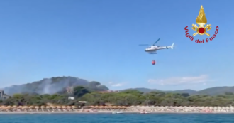 Copertina di Incendio in un camping in pineta a Castiglione della Pescaia: 600 persone evacuate. C’è anche Rosy Bindi