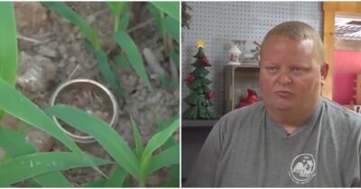 Copertina di “Grazie al mais ho ritrovato la fede nuziale che avevo perso 15 anni fa in una fattoria”: l’incredibile storia di Wayne Corpew