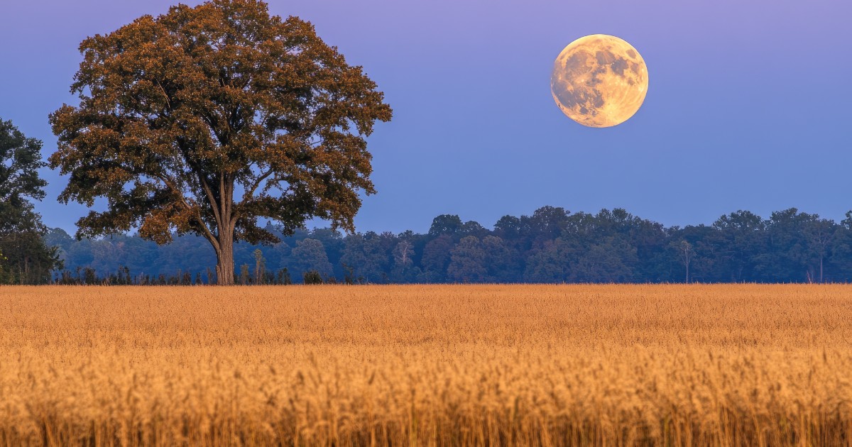 Arriva la Luna arancione: al tramonto del 10 luglio l’incredibile “illusione lunare”, ecco come osservare il raro fenomeno Arriva la Luna arancione: al tramonto del 10 luglio l’incredibile “illusione lunare”, ecco come osservare il raro fenomeno