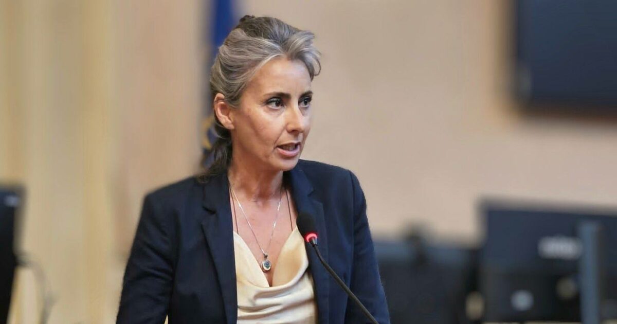 “Il dolore per mio fratello arrestato non lascia più spazio alla pietà”: la lettera al Fatto.it di una prof che a scuola insegna legalità “Il dolore per mio fratello arrestato non lascia più spazio alla pietà”: la lettera al Fatto.it di una prof che a scuola insegna legalità