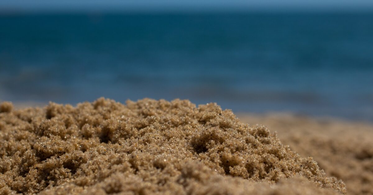 scavare buche in spiaggia pu242 essere letale e causa pi249 morti degli attacchi degli squali la ricerca degli americani bradley e barry maron torna attuale