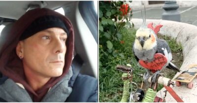 Copertina di “Umiliato e trattato come un mostro, non ho mai maltrattato il mio Pippi Pippi”: Aldo Orabona multato per aver messo la pettorina al pappagallo