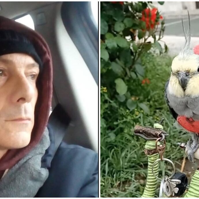 “Umiliato e trattato come un mostro, non ho mai maltrattato il mio Pippi Pippi”: Aldo Orabona multato per aver messo la pettorina al pappagallo