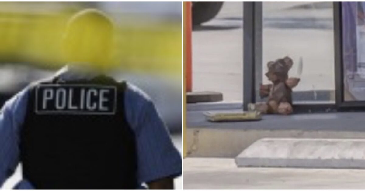 “C’è un orsacchiotto ricoperto di pelle che sembra umana all’ingresso di un minimarket”: arriva la polizia, il coroner esamina ma la verità è (molto) diversa “C’è un orsacchiotto ricoperto di pelle che sembra umana all’ingresso di un minimarket”: arriva la polizia, il coroner esamina ma la verità è (molto) diversa