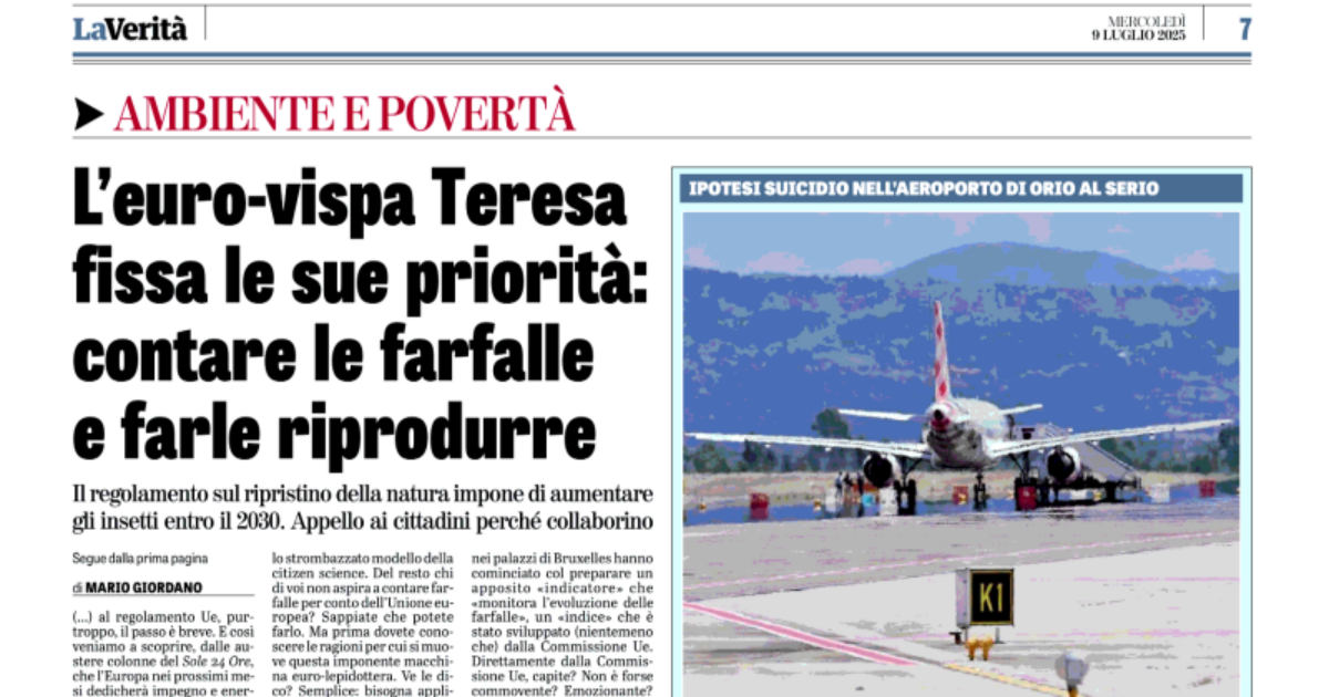 Cosa hanno fatto di male le farfalle a Mario Giordano? Cosa hanno fatto di male le farfalle a Mario Giordano?