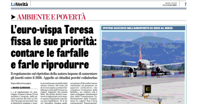 Cosa hanno fatto di male le farfalle a Mario Giordano?