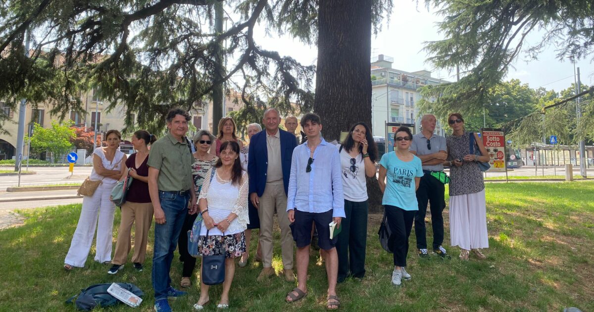 Cedro di San Leopoldo, l’associazione Onda contro l’abbattimento: “Salviamo un simbolo di Padova” Cedro di San Leopoldo, l’associazione Onda contro l’abbattimento: “Salviamo un simbolo di Padova”