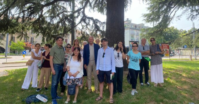 Cedro di San Leopoldo, l’associazione Onda contro l’abbattimento: “Salviamo un simbolo di Padova”