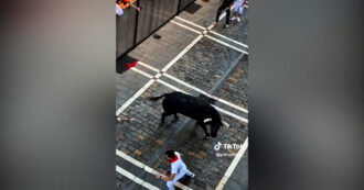 Copertina di Toro si stacca dal gruppo durante la corsa di San Firmino e carica i corridori: panico a Pamplona – Video