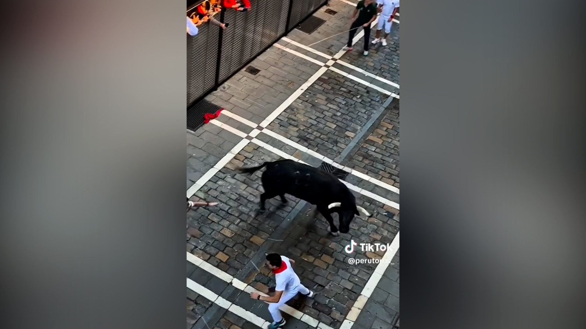 Toro si stacca dal gruppo durante la corsa di San Firmino e carica i corridori: panico a Pamplona – Video Toro si stacca dal gruppo durante la corsa di San Firmino e carica i corridori: panico a Pamplona – Video