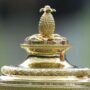 Copertina di Cosa ci fa un ananas sul trofeo di Wimbledon? La spiegazione