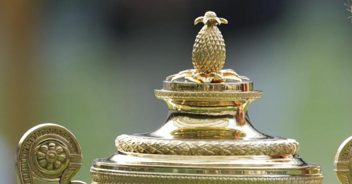 cosa ci fa un ananas sul trofeo di wimbledon la spiegazione