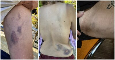 Copertina di Percossi per aver bloccato mattatoi: quel giorno gli attivisti hanno spezzato una routine di morte