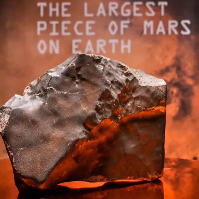 “È il più grande pezzo di Marte che abbiamo sulla Terra”: il meteorite ‘marziano’ venduto all’asta per 5,3 milioni di dollari, è record