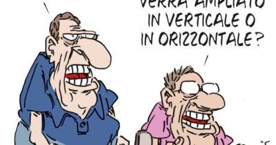 Copertina di La vignetta di Franzaroli