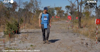 Copertina di Il principe Harry come la principessa Diana: in Angola tra i campi pieni di mine antiuomo per sostenere The Halo Trust – Video