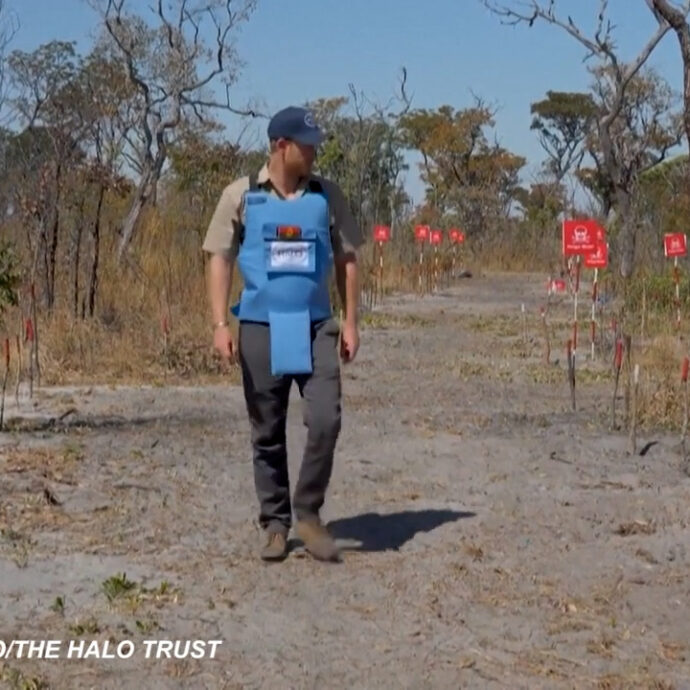 Il principe Harry come la principessa Diana: in Angola tra i campi pieni di mine antiuomo per sostenere The Halo Trust – Video
