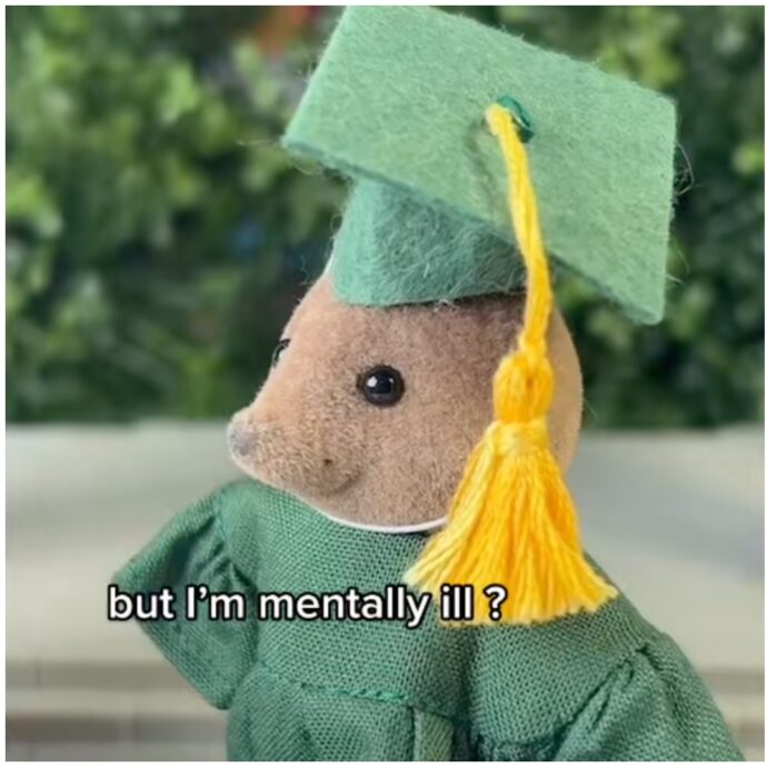 La storia della giovane talpa neolaureata che non trova lavoro perché alcolista e si unisce a una gang (e non solo) fa infuriare la “Sylvanian Families”: denunciato account TikTok “SylvanianDrama”