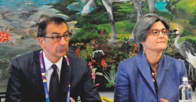 Copertina di Ex assessora e poi lobbista dei colossi: De Cesaris dava la linea per il  Salva-Milano