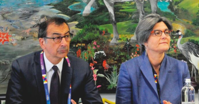 Ex assessora e poi lobbista dei colossi: De Cesaris dava la linea per il  Salva-Milano