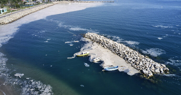 Posidonia sbiancata, moria di mitili e mucillagine: il Mediterraneo è diventato un hotspot climatico