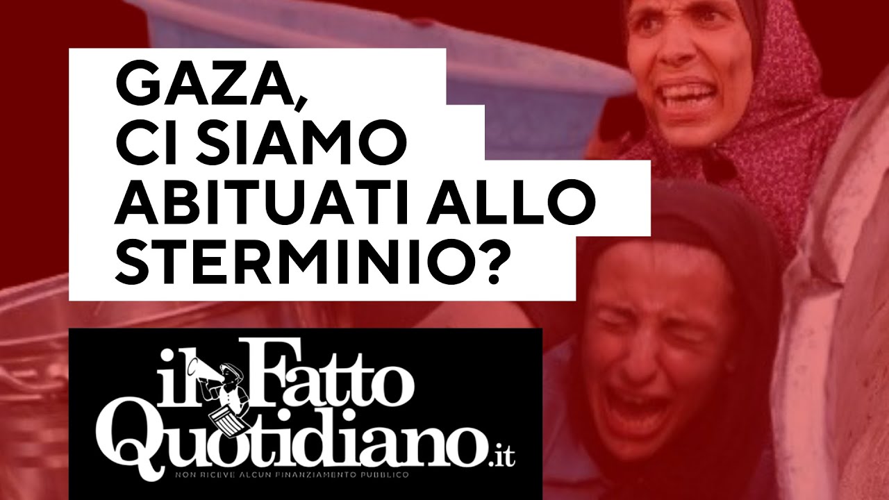 Gaza, ci siamo abituati allo sterminio? La diretta con Peter Gomez e Gianni Rosini Gaza, ci siamo abituati allo sterminio? La diretta con Peter Gomez e Gianni Rosini