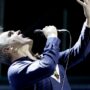 Copertina di Torna Morrissey: sesso, delitti, multe e un po’ di Wilde 