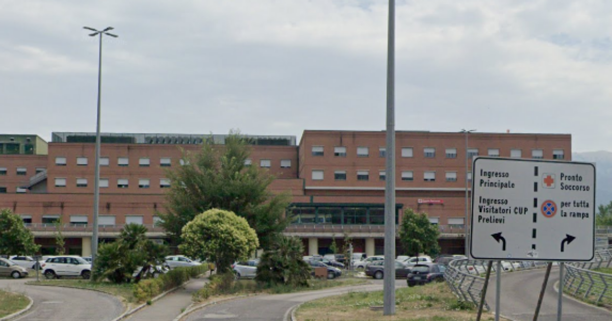 “È solo un torcicollo”: dimessa dall’ospedale, Sofia Rossi muore dopo pochi giorni “È solo un torcicollo”: dimessa dall’ospedale, Sofia Rossi muore dopo pochi giorni