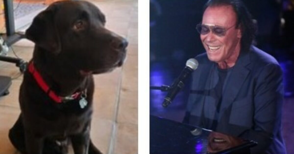 “Chok è volato in cielo, ma la mia anima è piena del suo amore… e del mio”: è morto il cane di Antonello Venditti