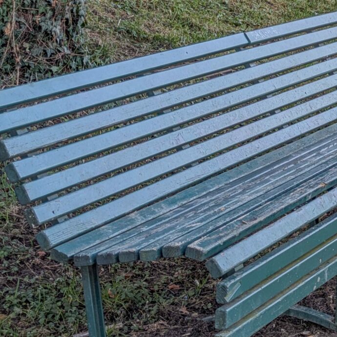 Cede il posto al parco a una ragazza, ma non la avverte che sulla panchina c’è la cacca del cane: “È saltata in piedi disgustata, dice che avrei dovuto avvisarla”