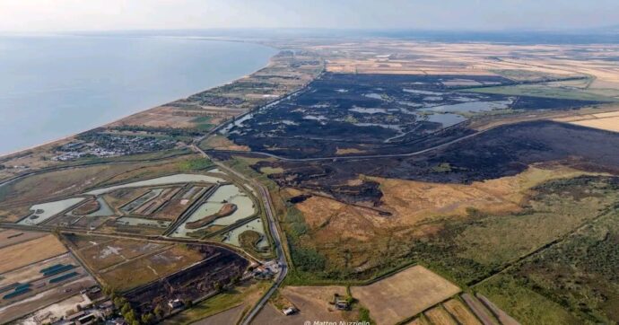 Parco Nazionale del Gargano, il caso dell’oasi abbandonata distrutta da un incendio: “Morti tantissimi animali”