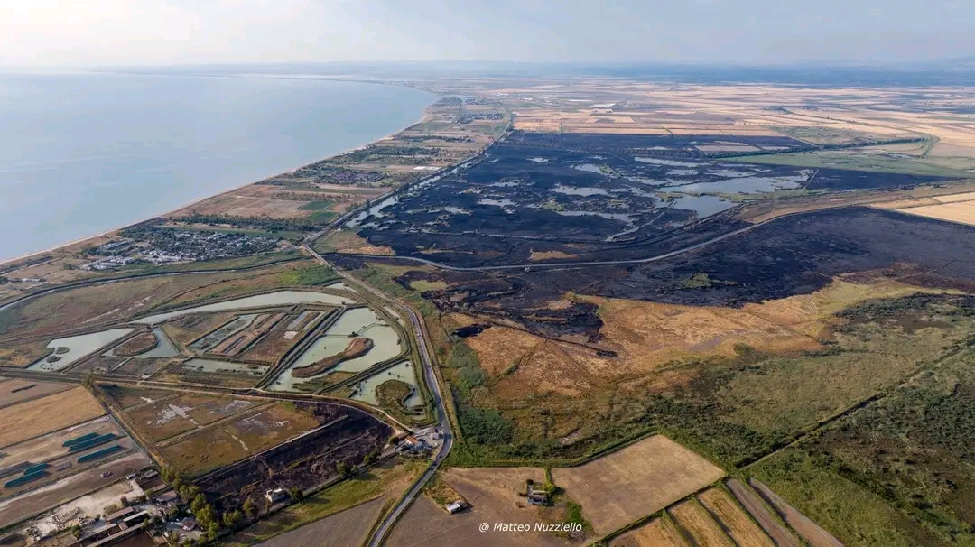 Parco Nazionale del Gargano, il caso dell’oasi abbandonata distrutta da un incendio: “Morti tantissimi animali” Parco Nazionale del Gargano, il caso dell’oasi abbandonata distrutta da un incendio: “Morti tantissimi animali”