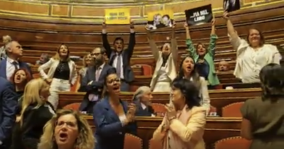 Copertina di Separazione delle carriere, proteste in Aula: senatori M5s sollevano cartelli con le foto di Falcone e Borsellino