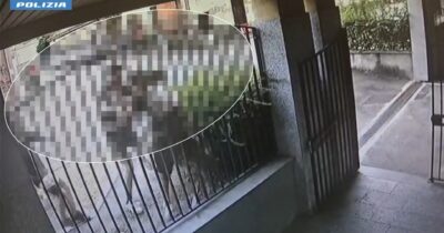 Copertina di Turista statunitense accoltellato su un treno regionale a San Giuliano Milanese: due fermi. Il video