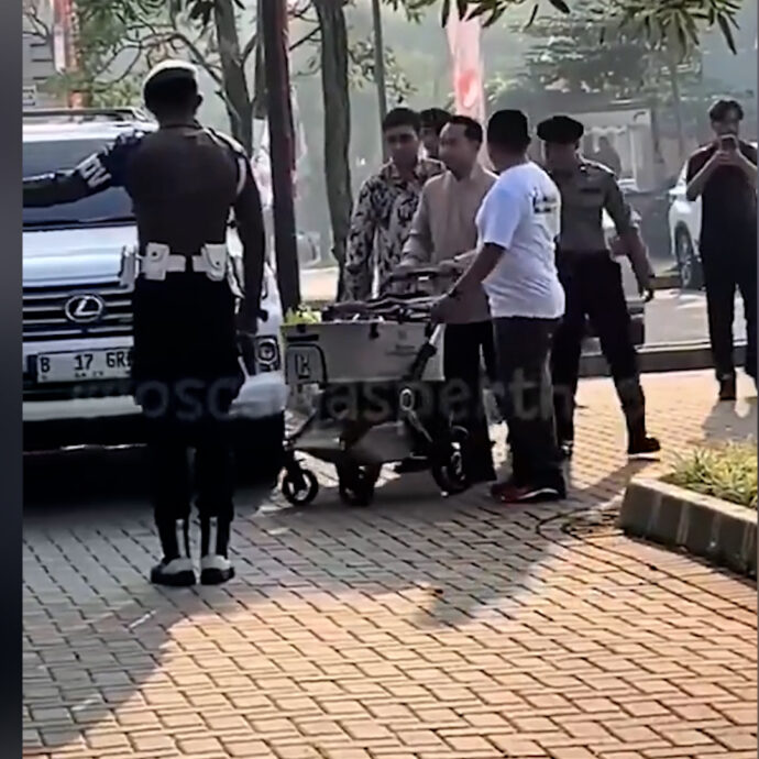 Il gatto con un trattamento da re: il felino in carrozzina del presidente indonesiano “scortato” dagli agenti