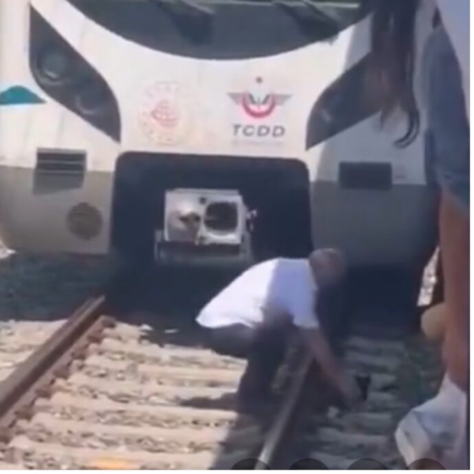 “Ferma il treno e salva un gattino bloccato sui binari”: il gesto del macchinista commuove – IL VIDEO