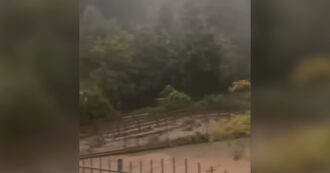 Copertina di Alluvione lampo in Val Passiria, fiume di fango esonda e spazza via un ponte a San Martino – Video