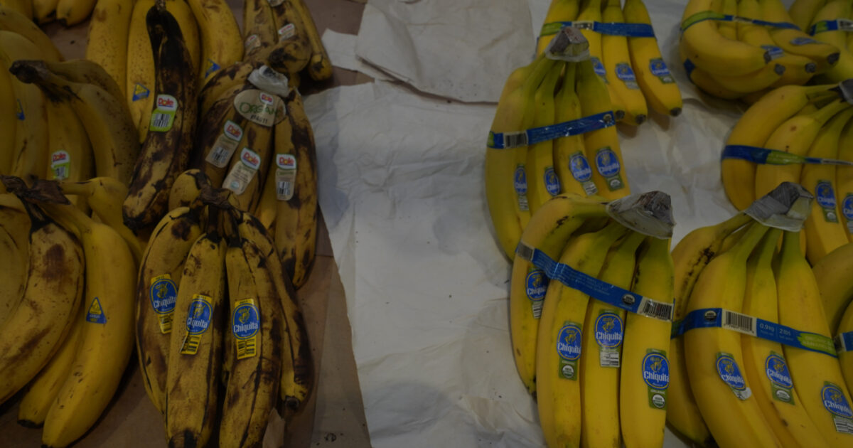 colombia condanna storica per sette ex dirigenti di chiquita hanno finanziato i paramilitari delle auc
