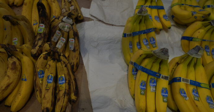 Colombia, condanna storica per sette ex dirigenti di Chiquita: “Hanno finanziato i paramilitari delle Auc”