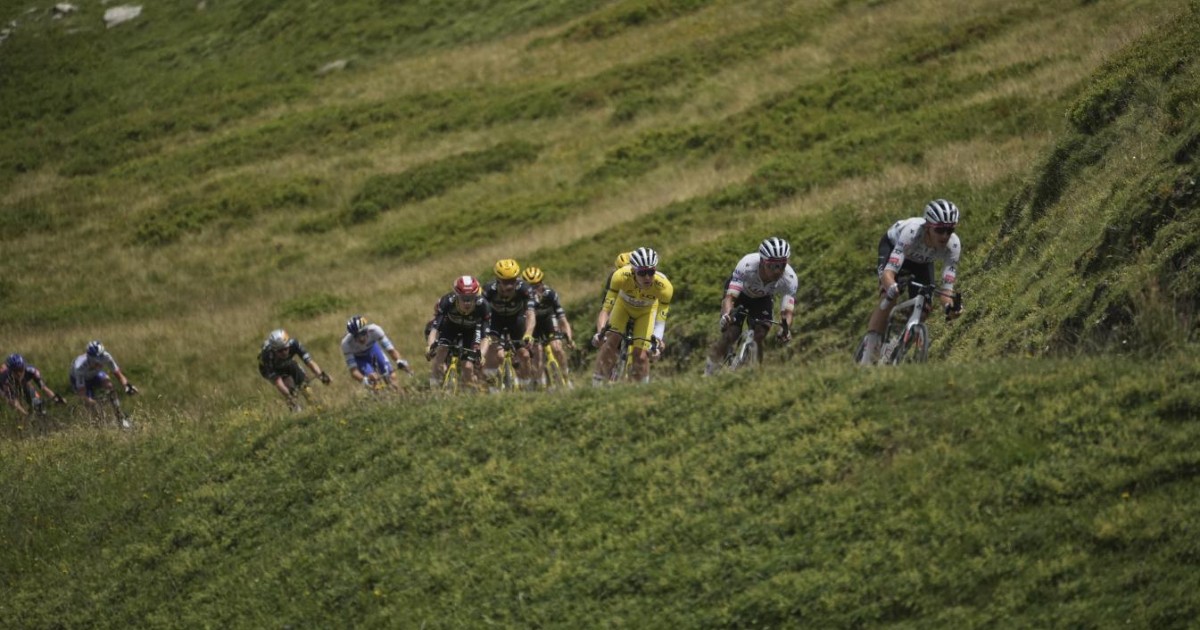 clamoroso al tour de france tappa accorciata per un8217epidemia in allevamento bovino
