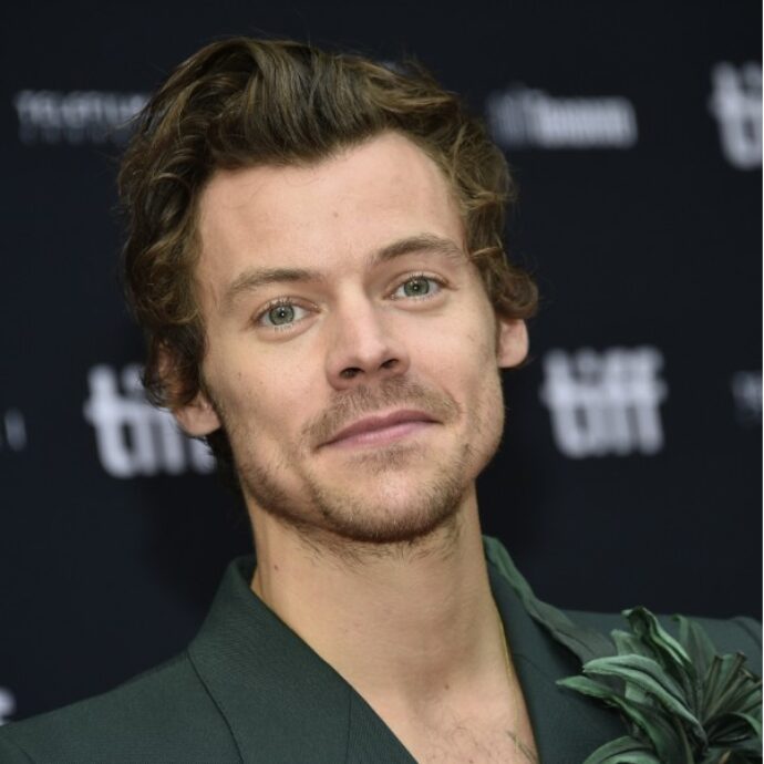 Harry Styles lancia i suoi sex toys: fan in visibilio per “Pleasing Yourself”