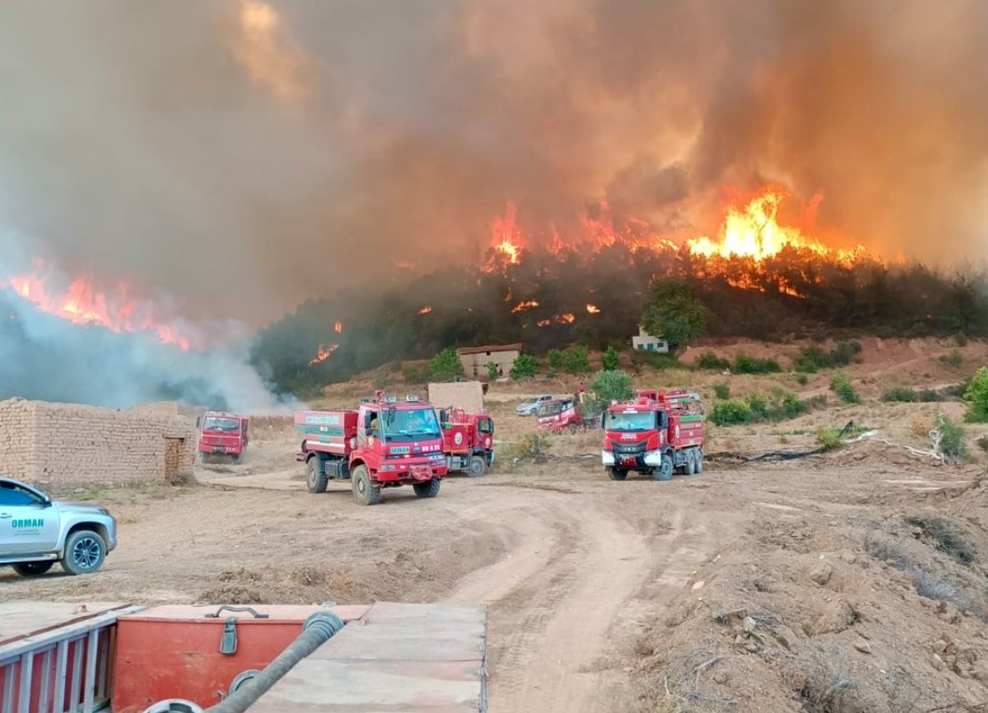 Incendi in Turchia e Cipro: 12 morti e evacuazioni. L’impressionante video del “fire tornado”