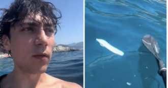 Copertina di Matteo Paolillo vede un assorbente galleggiare nel mare di Positano e sbotta: “Mi devo mettere io con il retino?”